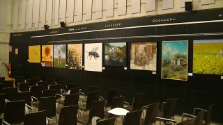 Exposición de pintura apícola