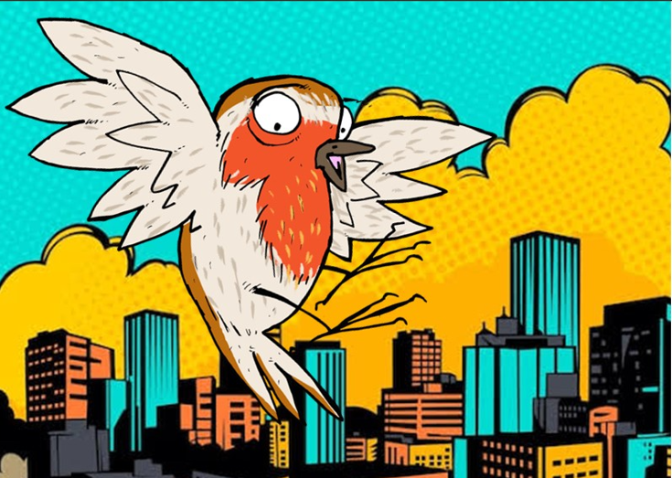 Obradoiro "Aves de Cidade"