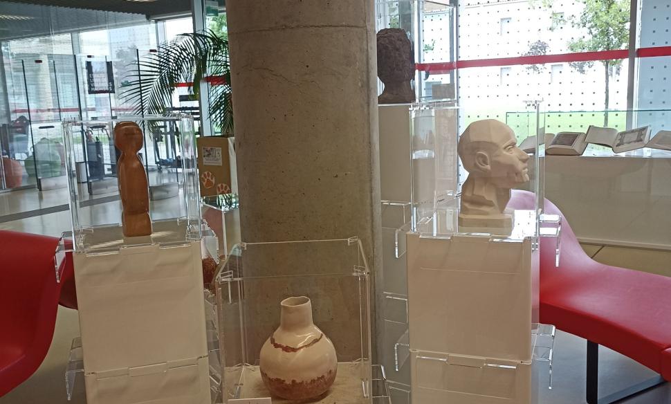 exposicion