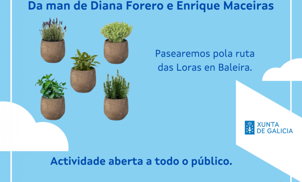 250424_cartel_baleira
