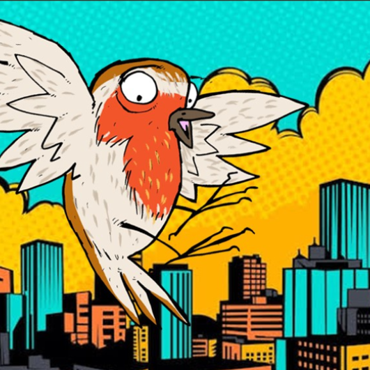 Obradoiro "Aves de Cidade"